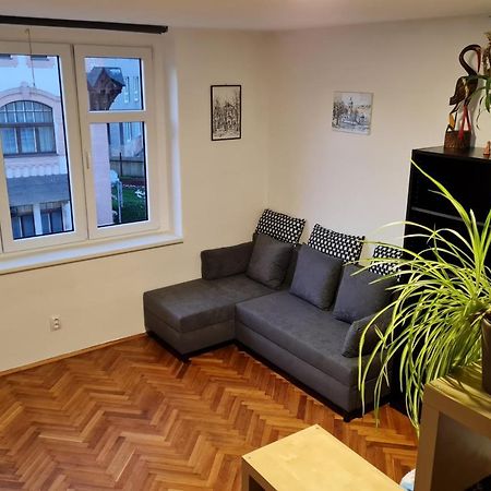Kousek Do Prirody I Do Centra Apartment Pisek  Exterior photo
