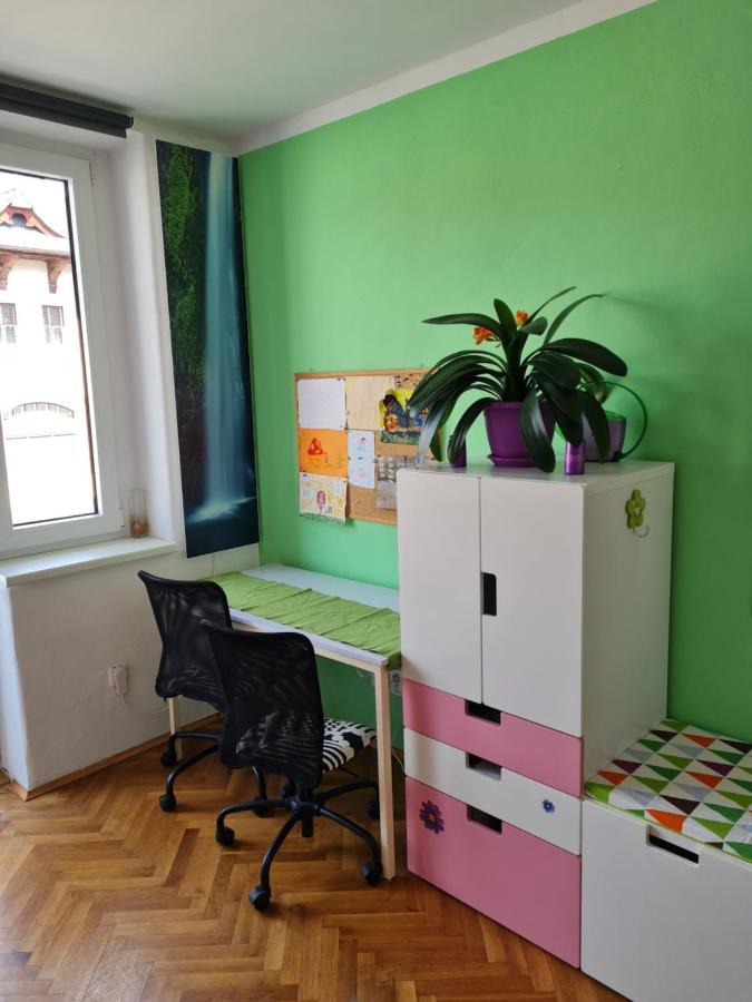 Kousek Do Prirody I Do Centra Apartment Pisek  Exterior photo