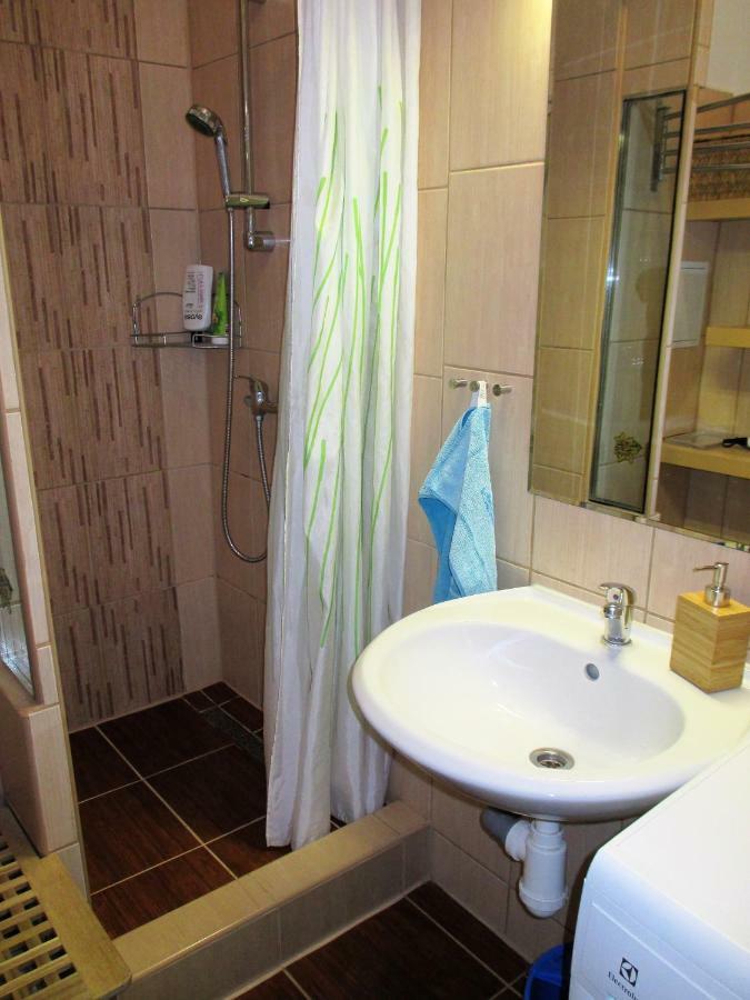 Kousek Do Prirody I Do Centra Apartment Pisek  Exterior photo