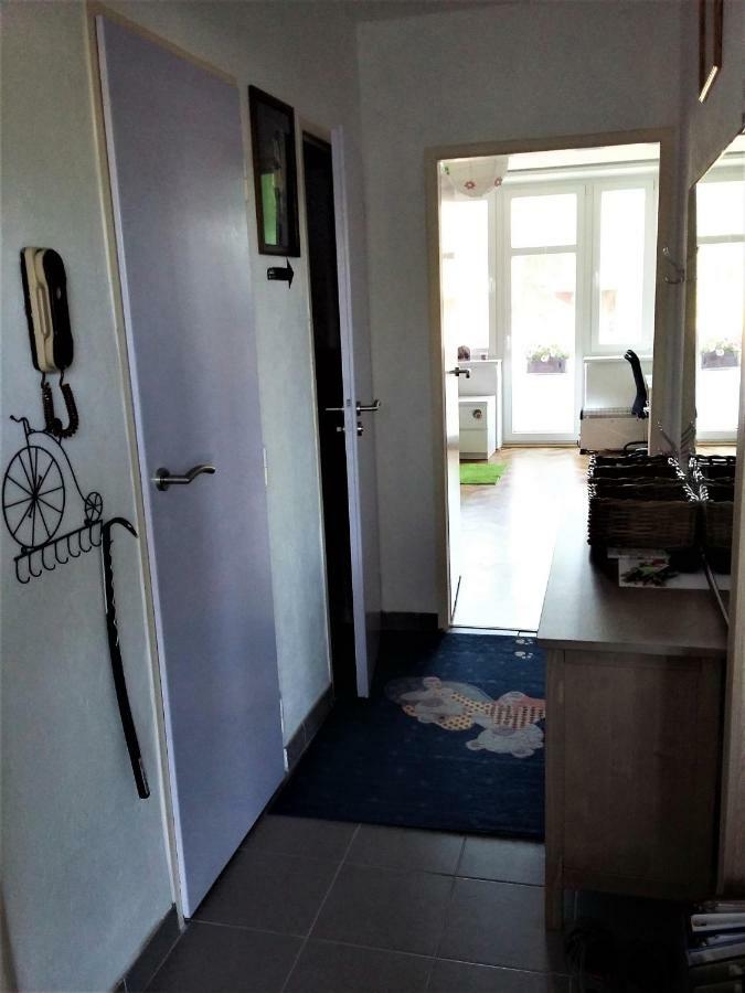 Kousek Do Prirody I Do Centra Apartment Pisek  Exterior photo